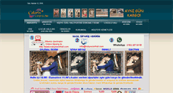 Desktop Screenshot of fotohaliyaresimdokuma.com